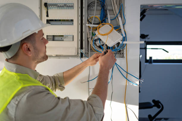 Best Electric Panel Repair  in Harriman, TN